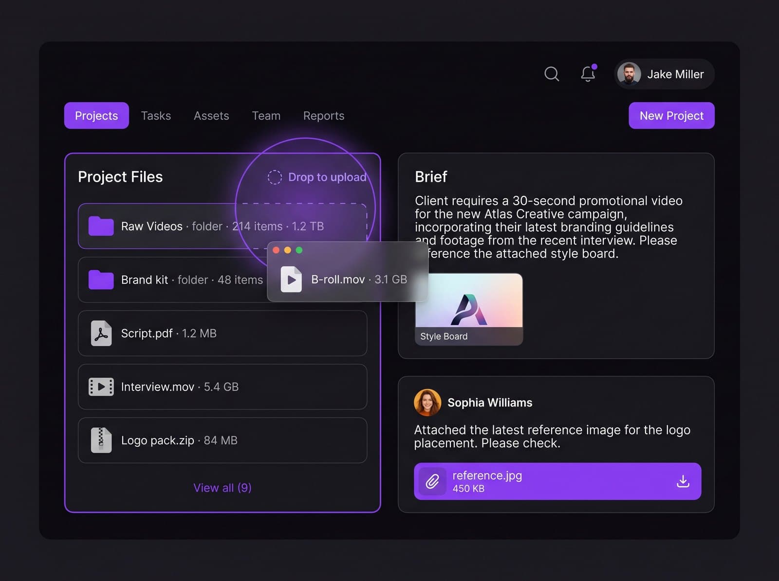 Project files panel with raw footage, assets and attachments
